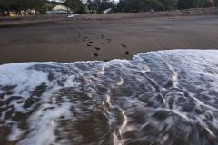 20251108_0625387589532683438859571