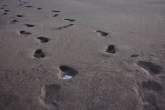 20251108_0625513954951784948552595