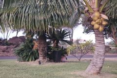 20251108_0636071020494005631603541