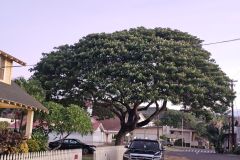 20251108_0636274478847060091774591