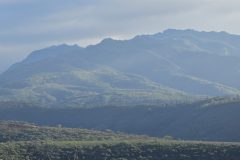 20251108_075649-scaled