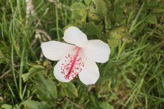 20251108_092115-scaled